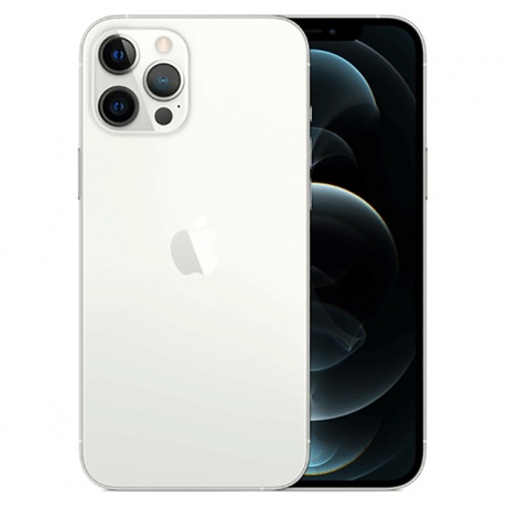 Смартфон Apple iPhone 12 Pro Max 128Gb (MGD83RU/A) Silver - фото 2