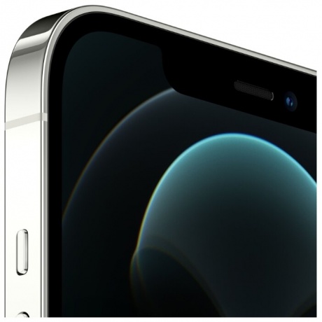 Смартфон Apple iPhone 12 Pro Max 128Gb (MGD83RU/A) Silver - фото 3
