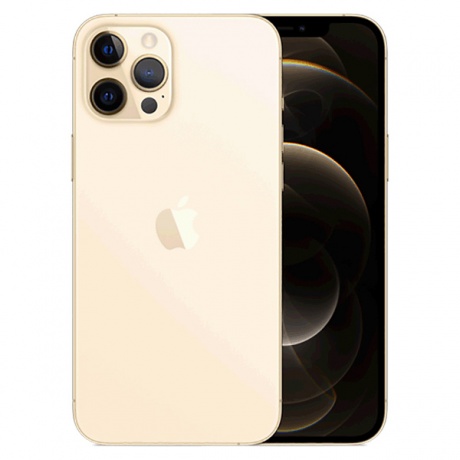 Смартфон Apple iPhone 12 Pro Max 256Gb (MGDE3RU/A) Gold - фото 2