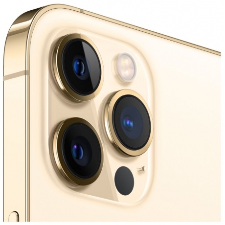 Смартфон Apple iPhone 12 Pro Max 256Gb (MGDE3RU/A) Gold - фото 4