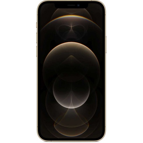 Смартфон Apple iPhone 12 Pro 512GB (MGMW3RU/A) Gold - фото 2