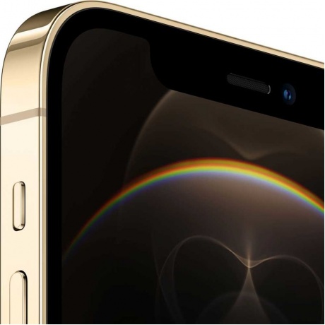 Смартфон Apple iPhone 12 Pro 512GB (MGMW3RU/A) Gold - фото 3