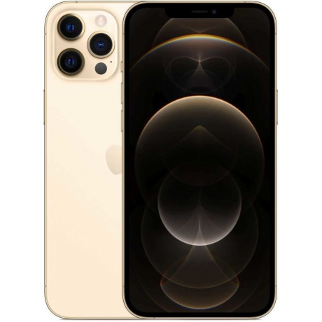 Смартфон Apple iPhone 12 Pro Max 512GB (MGDK3RU/A) Gold - фото 1