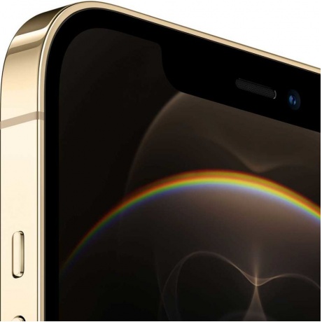 Смартфон Apple iPhone 12 Pro Max 512GB (MGDK3RU/A) Gold - фото 3