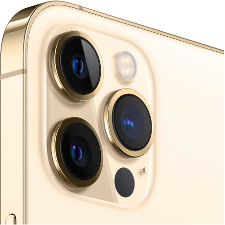 Смартфон Apple iPhone 12 Pro Max 512GB (MGDK3RU/A) Gold - фото 4