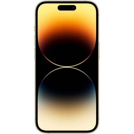 Смартфон Apple iPhone 14 Pro Max 1Tb (MQ9M3VC/A) Gold - фото 2