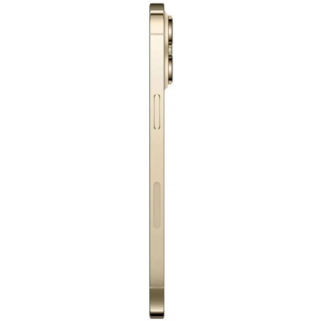 Смартфон Apple iPhone 14 Pro Max 1Tb (MQ9M3VC/A) Gold - фото 7