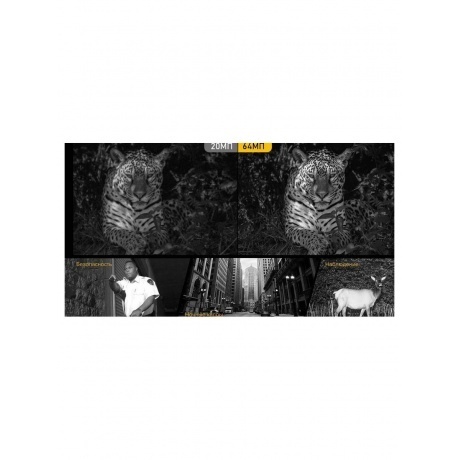 Смартфон Ulefone Armor 24 12/256Gb Black - фото 27