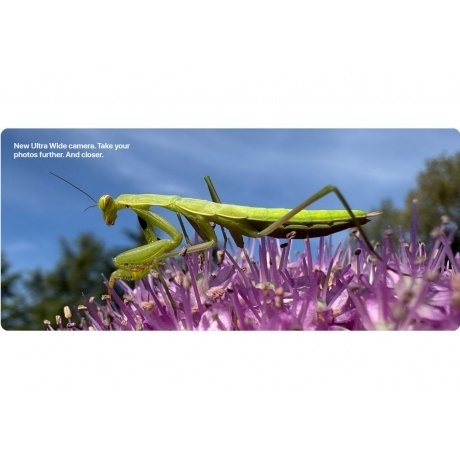 Смартфон Apple iPhone 16 128Gb (MYEC3HN/A) Ultramarine - фото 30