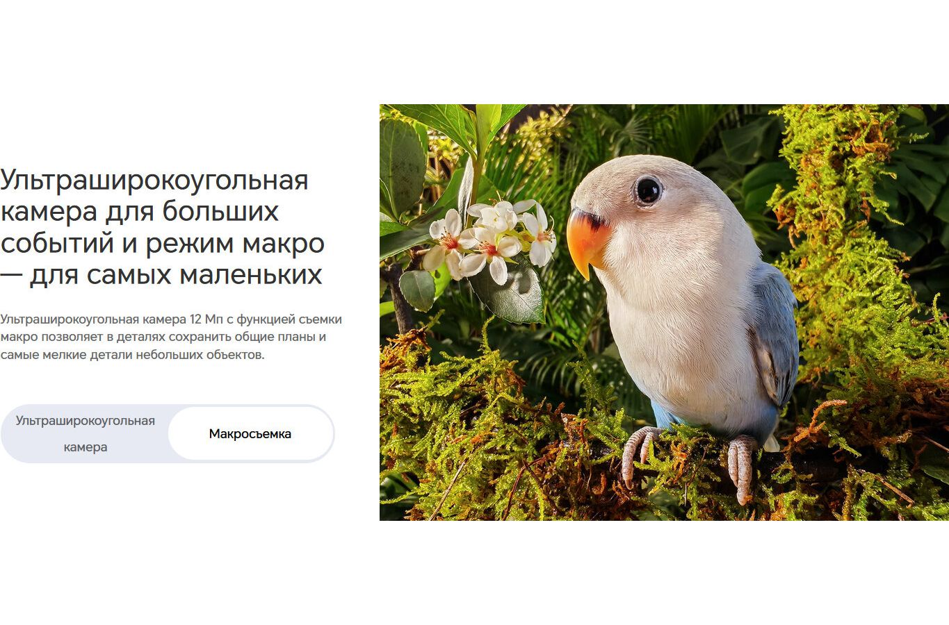 Смартфон Honor 90 12/512Gb Emerald Green - фото 45