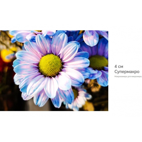 Смартфон Honor X9b 8/256Gb Emerald Green - фото 37