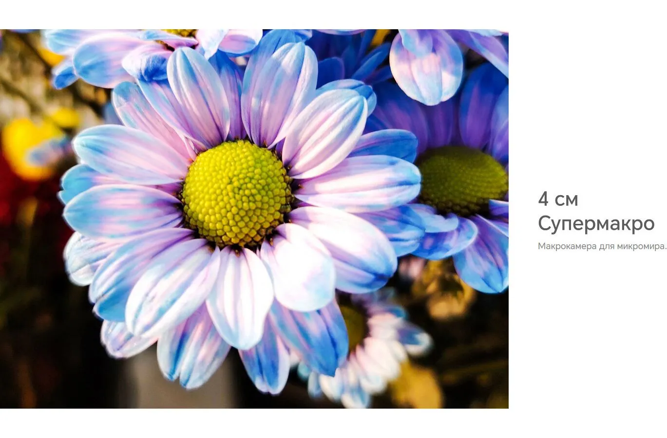 Смартфон Honor X9b 8/256Gb Emerald Green - фото 37