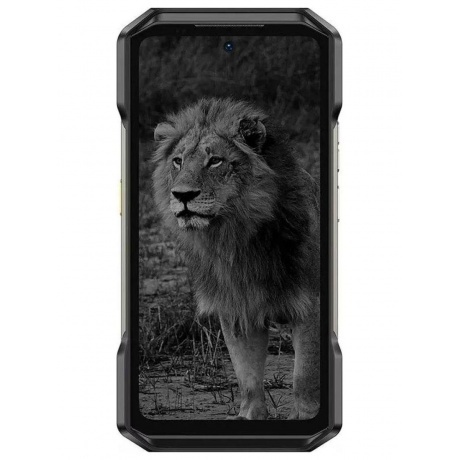 Смартфон Ulefone Armor 27 Pro 12/256Gb Black - фото 2