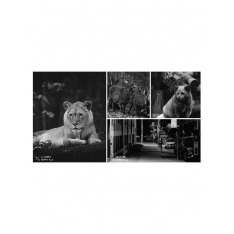 Смартфон Ulefone Armor X13 6/64Gb Black - фото 8