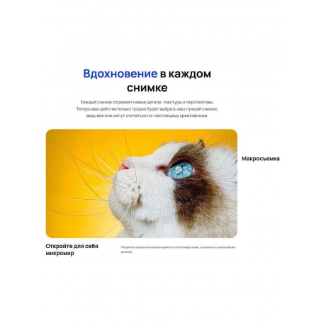 Смартфон Huawei Nova 12s 8/256Gb Blue - фото 28