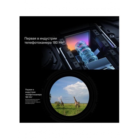 Смартфон Honor Magic 6 Pro 12/512Gb Green - фото 36