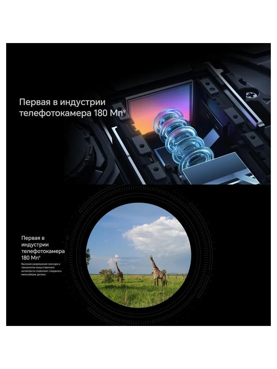 Смартфон Honor Magic 6 Pro 12/512Gb Green - фото 36