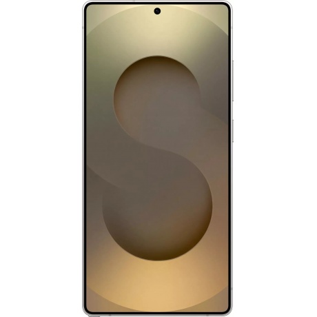 Смартфон Samsung Galaxy S25 Ultra 12/512Gb (SM-S938BZTCCAU)  Серый титан - фото 2