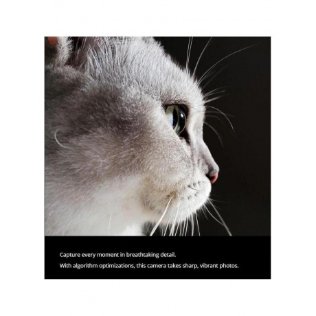 Смартфон Realme C75 8/128Gb Gold - фото 44