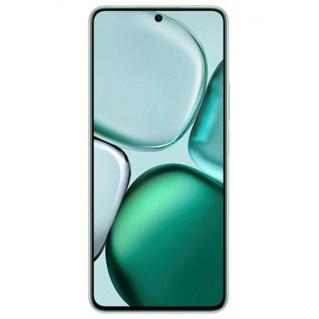 Смартфон Honor X9C Smart 8/256Gb Green - фото 2