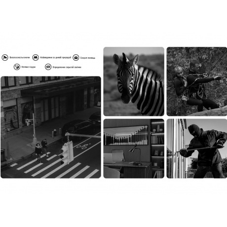 Смартфон Ulefone Armor 27 12/256Gb Black - фото 19