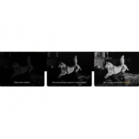 Смартфон Ulefone Armor 27T 12/256Gb Black - фото 18