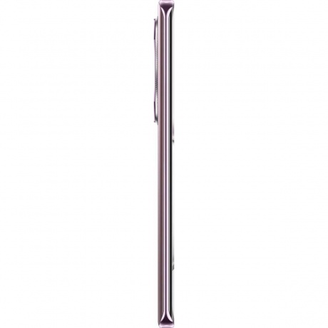 Смартфон Honor X9c 8/256Gb Pink - фото 13