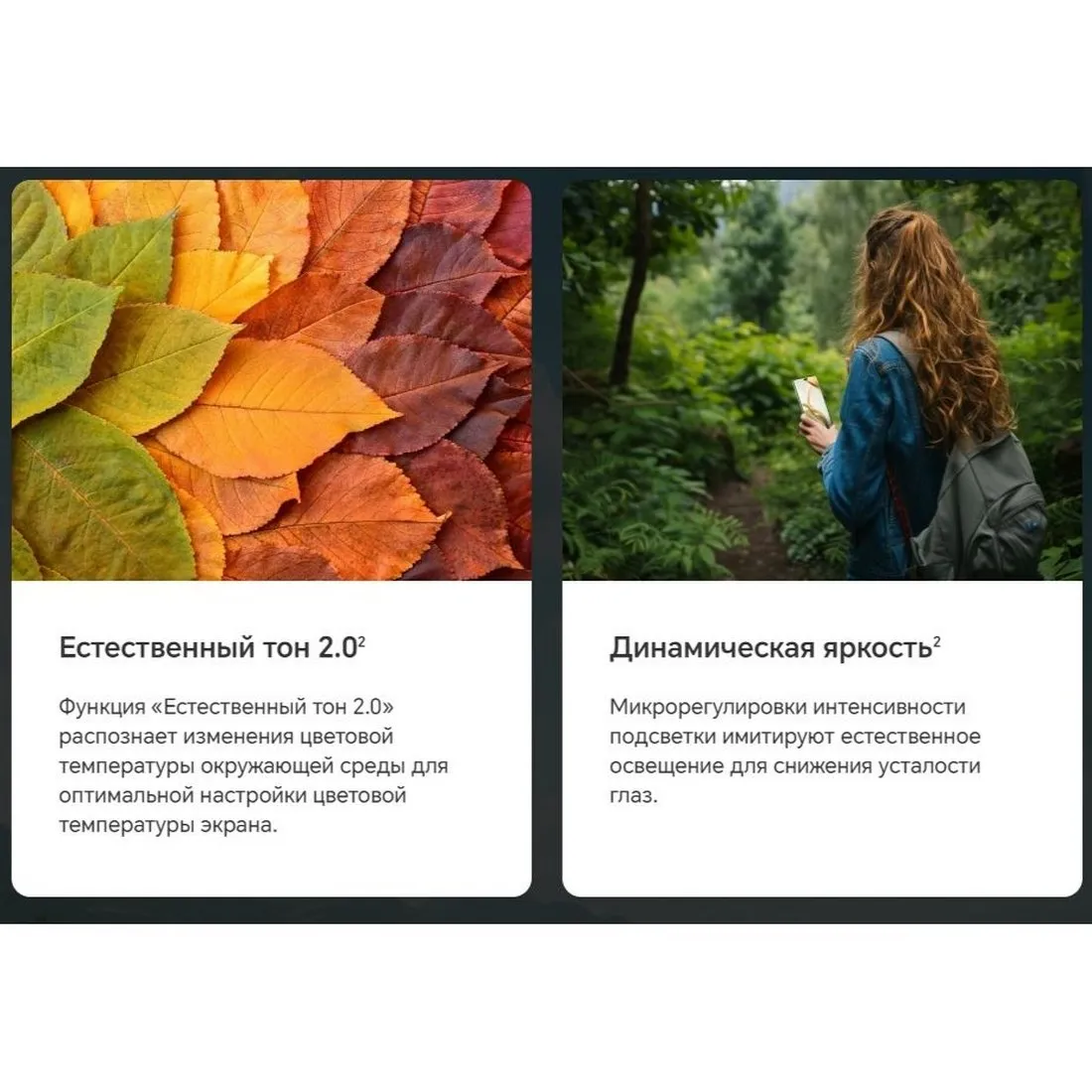 Смартфон Honor 200 Pro 12/512Gb Black - фото 38