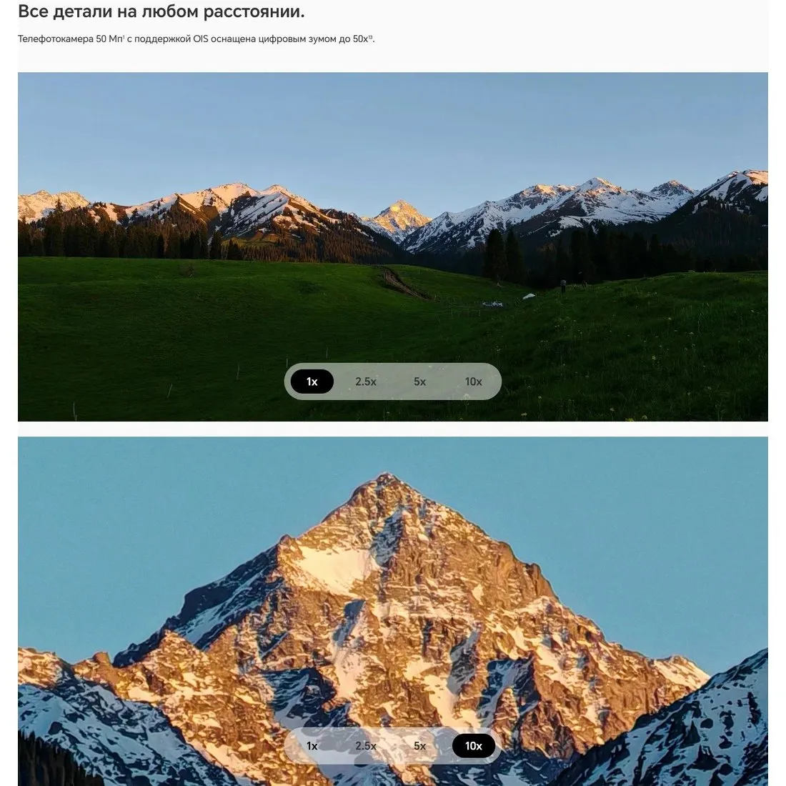 Смартфон Honor 200 Pro 12/512Gb Green - фото 30