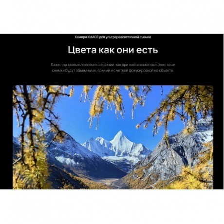 Смартфон Huawei Mate 70 Pro 12/512Gb Green - фото 31