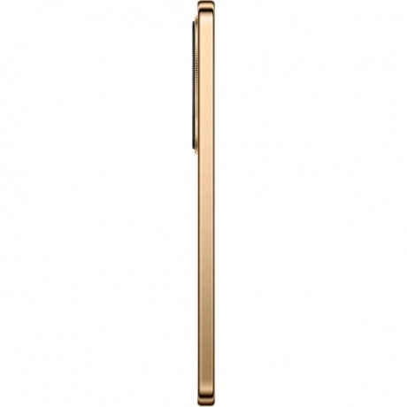 Смартфон Honor x9d 12/256Gb Brown - фото 4