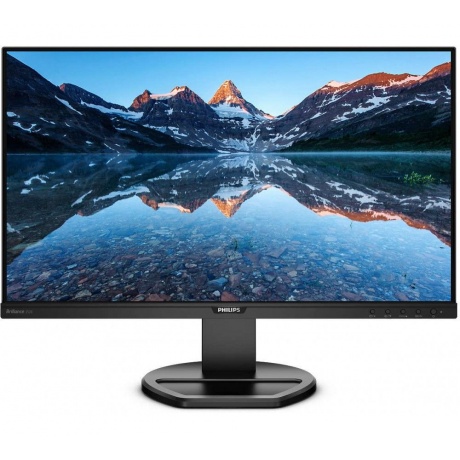 Монитор Philips 25&quot; 252B9/00 Black - фото 1