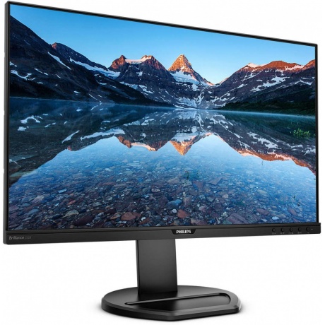 Монитор Philips 25&quot; 252B9/00 Black - фото 2