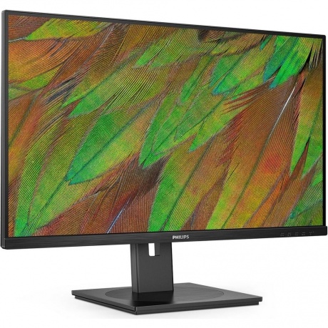 Монитор Philips 31,5" 32B1N3800/01 - фото 2