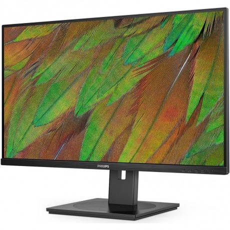 Монитор Philips 31,5" 32B1N3800/01 - фото 3