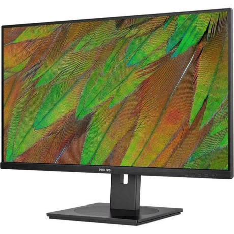 Монитор Philips 31,5" 32B1U3900 - фото 2