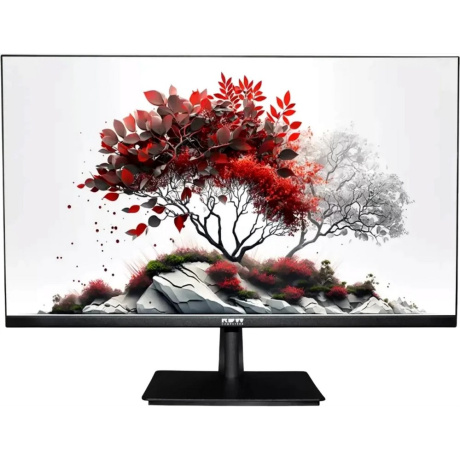 Монитор 27" RDW COMPUTERS RDW2701K - фото 1