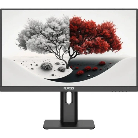 Монитор RDW Computers 23.8" RDW2401K IPS FHD чер 4ms HDMI DP VGA...
