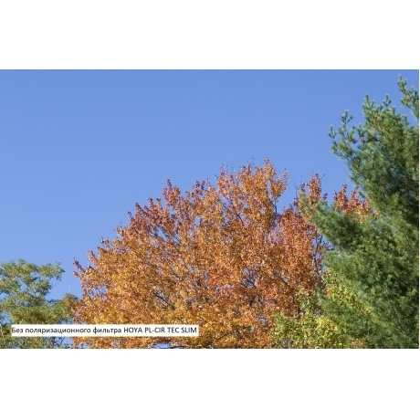 Фильтр поляризационный Hoya PL-CIR TEC SLIM 40.5 - фото 4