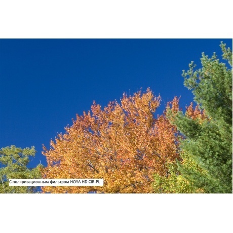 Фильтр поляризационный Hoya PL-CIR HD 37 - фото 4