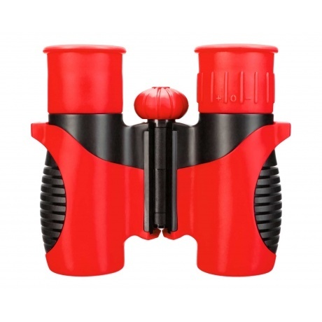 Бинокль Levenhuk LabZZ B2 Red Berry - фото 5