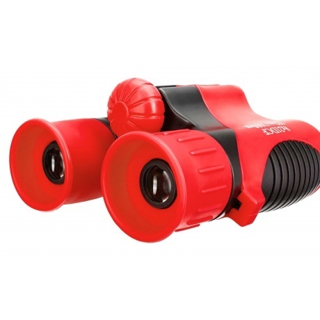 Бинокль Levenhuk LabZZ B2 Red Berry - фото 8