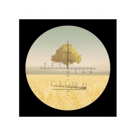 Бинокль Levenhuk Camo Grass 10x42 с сеткой - фото 8