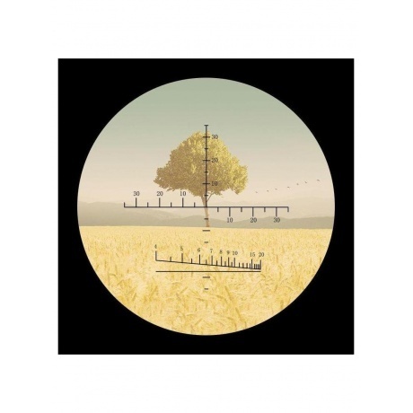 Бинокль Levenhuk Camo Maple 10x42 с сеткой - фото 12