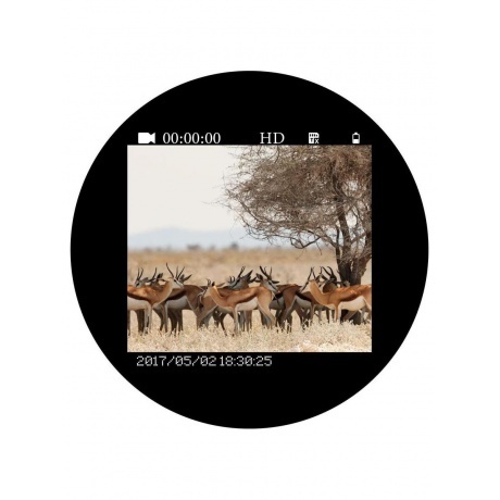 Бинокль ночного видения Veber DigiView NB-02 цифровой - фото 12