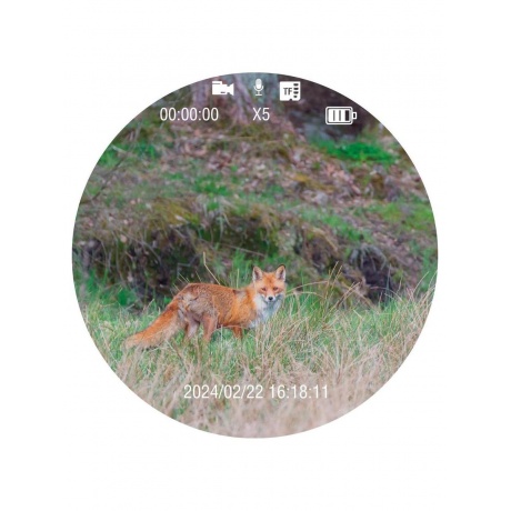 Бинокль ночного видения на шлем Veber DigiView NB-01HM цифровой - фото 14