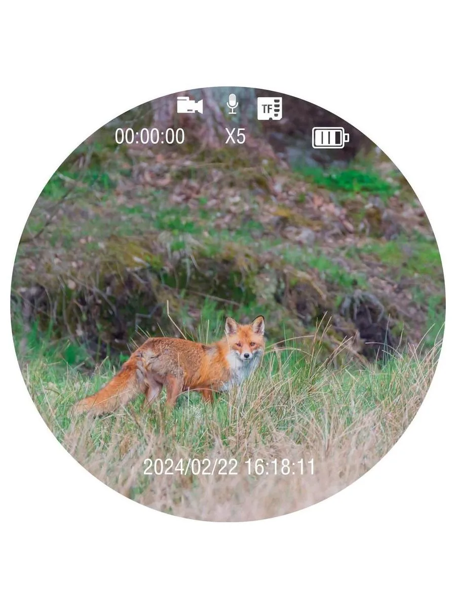 Бинокль ночного видения на шлем Veber DigiView NB-01HM цифровой - фото 14