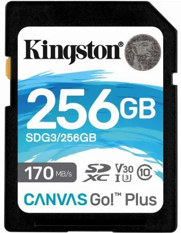 Карта памяти Kingston SDG3/256GB