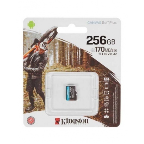 Карта памяти Kingston microSDXC Canvas Go! Class 10 256Gb (SDCG3...