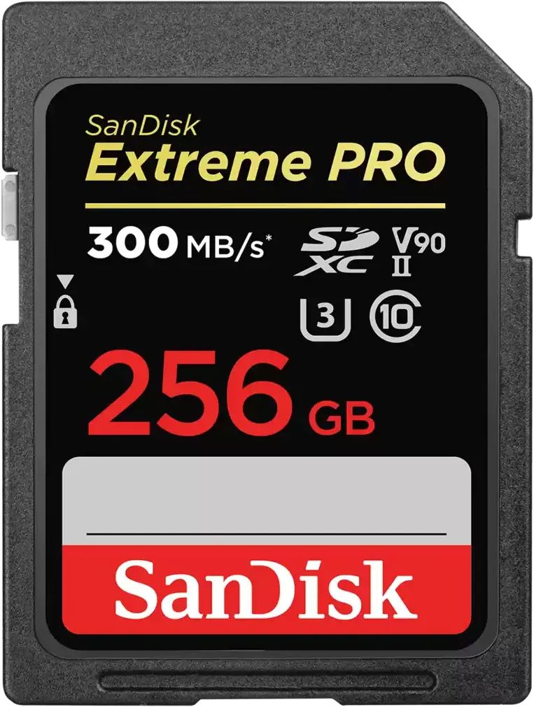 Карта памяти SanDisk SDSDXDK-256G-GN4IN 256 ГБ SDXC Extreme PRO UHS-II U3 V90 флеш диск sandisk 512gb extreme pro sdcz880 512g g46 usb3 0 черный